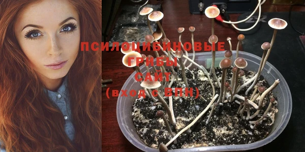 jwh Кукмор