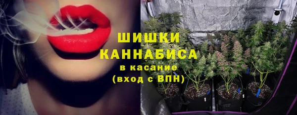 2c-b Краснослободск
